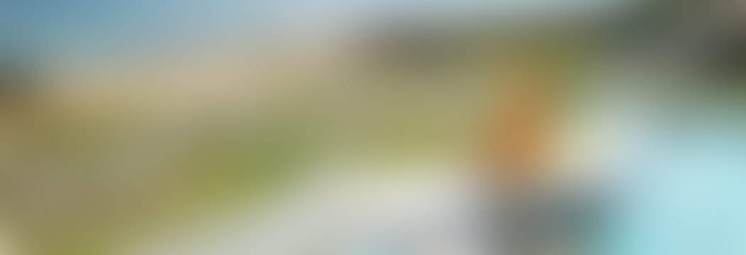 Single Post Image